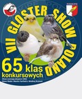 VII Gloster Show Poland